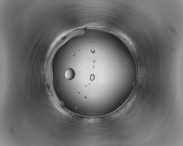 X0000113030808200908271453