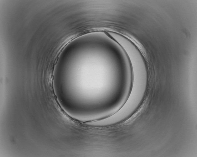 X0000113030809200908271453