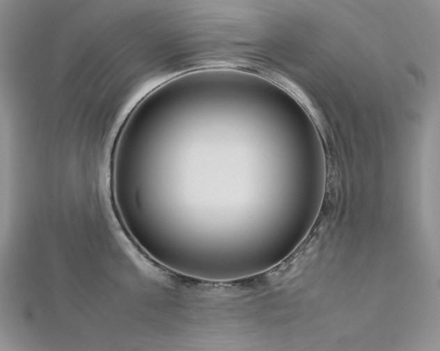 X0000113030811200908271453