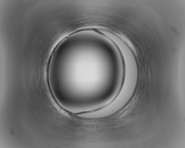 X0000113030813200908271453