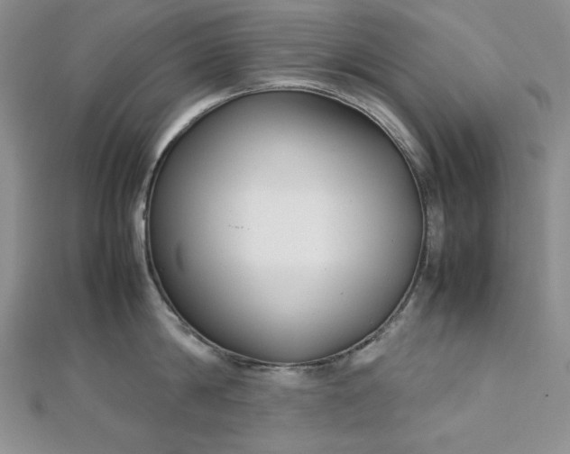 X0000113030814200908271453