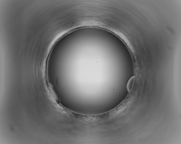 X0000113030815200908271453