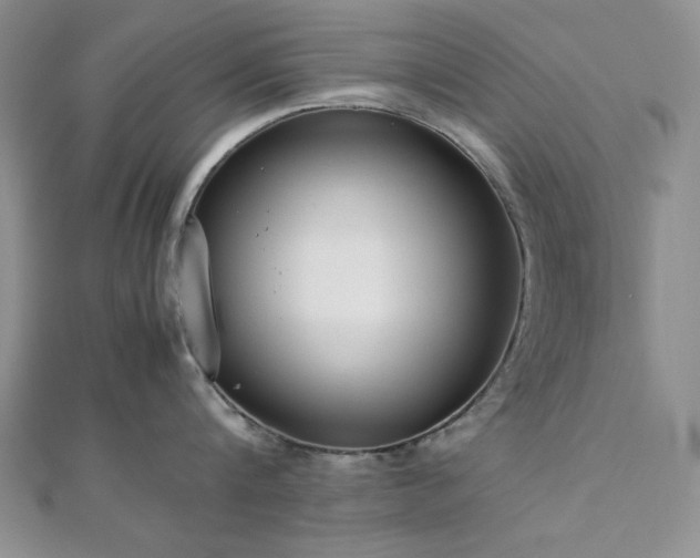 X0000113030816200908271453