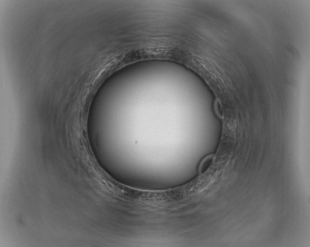 X0000113030817200908271453