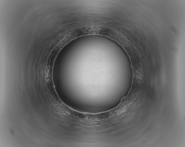 X0000113030818200908271453