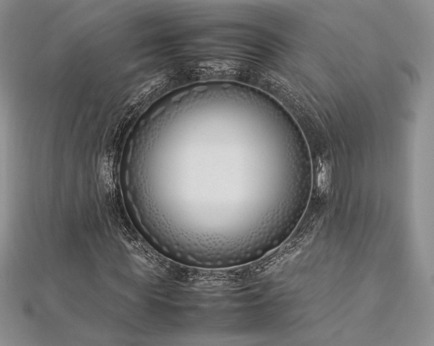 X0000113030819200908271453