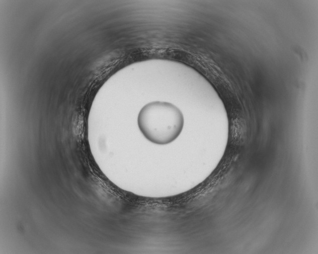 X0000113030820200908271453