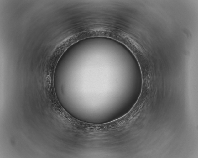 X0000113030821200908271453