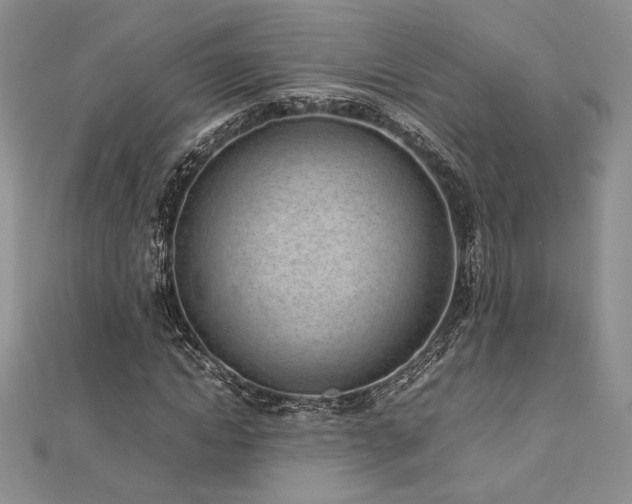 X0000113030822200908271453