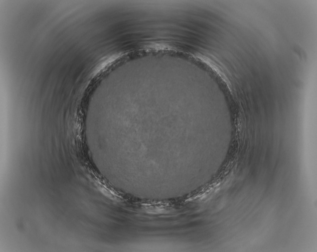 X0000113030823200908271453