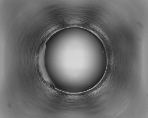 X0000113030825200908271453