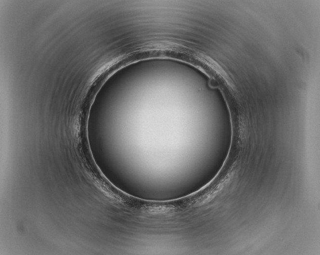 X0000113030826200908271453