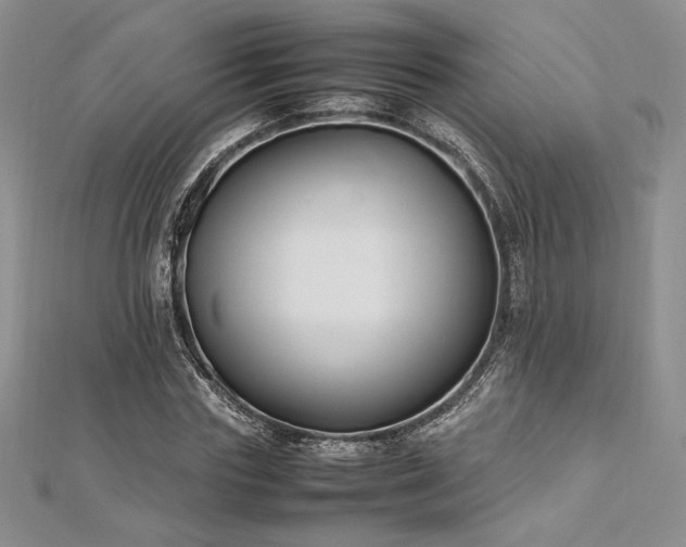 X0000113030827200908271453