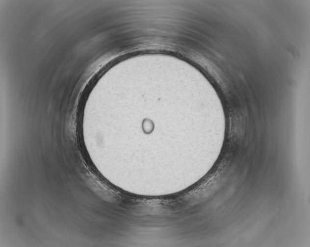 X0000113030828200908271453