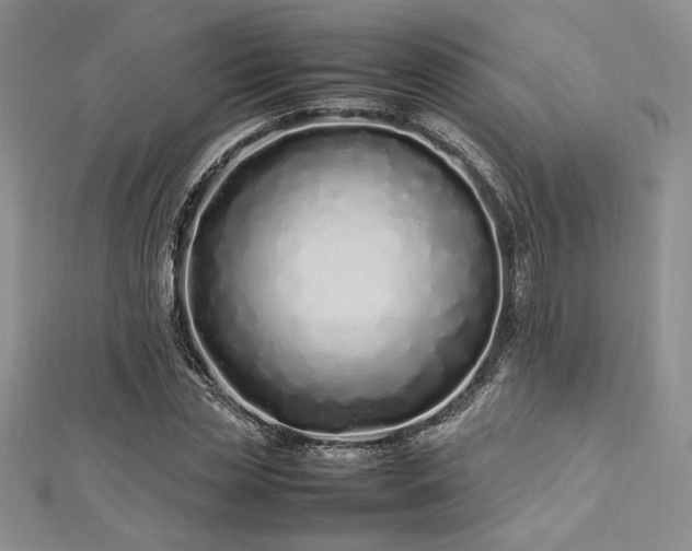 X0000113030829200908271453