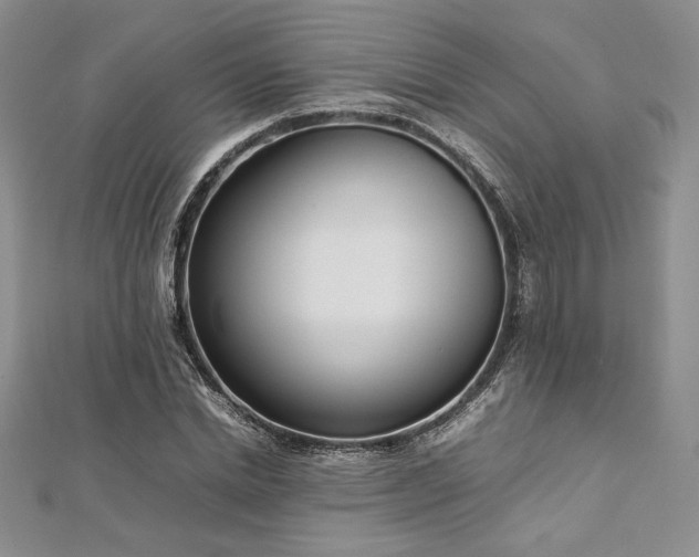 X0000113030830200908271453