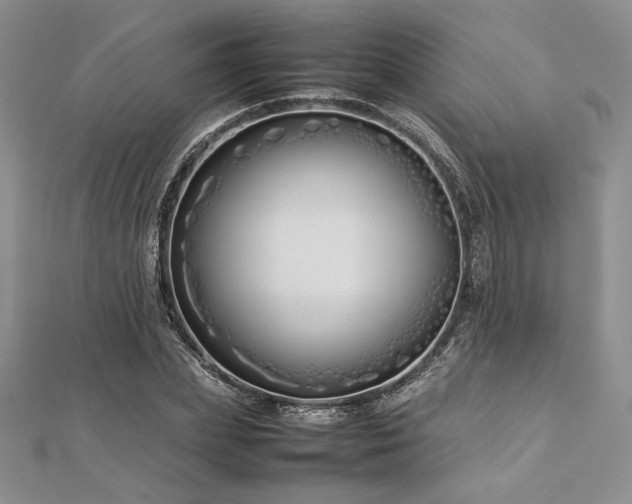 X0000113030831200908271453