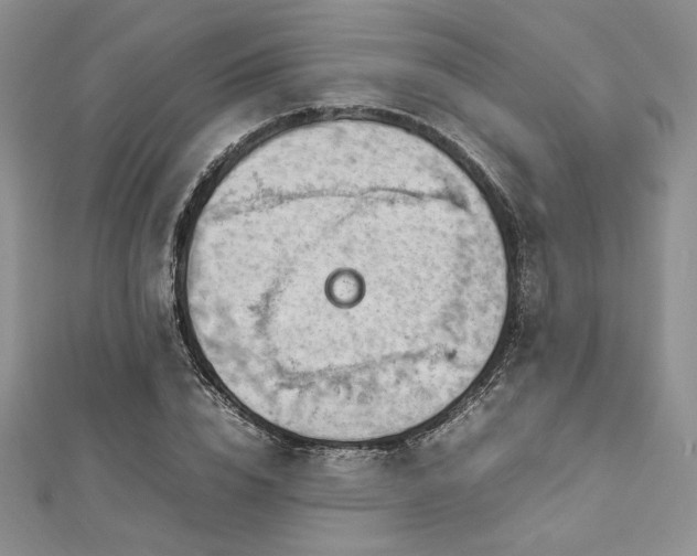 X0000113030832200908271453