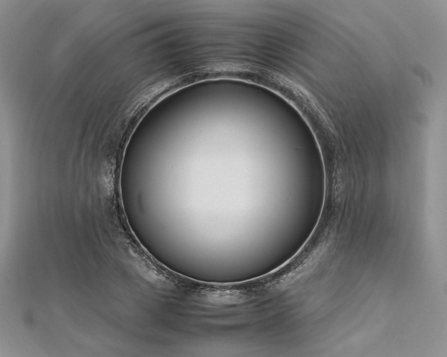 X0000113030833200908271453