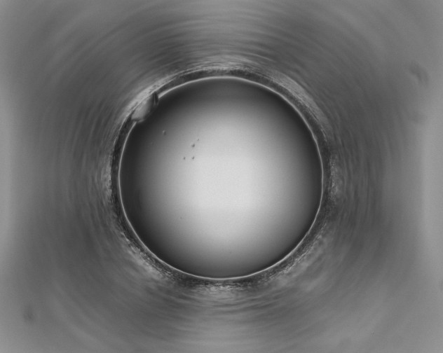 X0000113030834200908271453