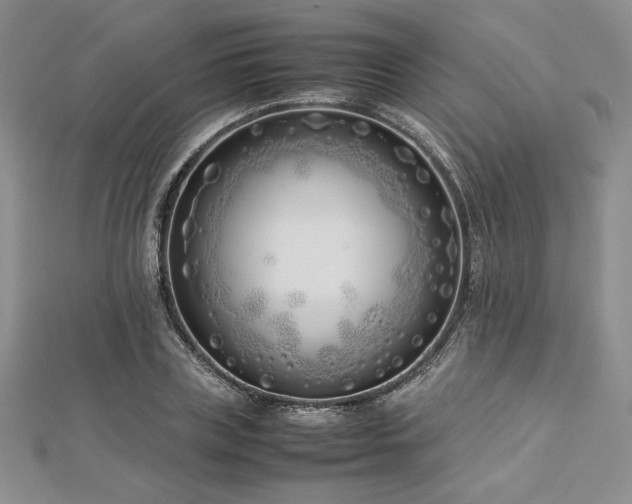 X0000113030835200908271453