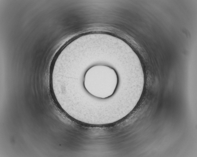 X0000113030836200908271453