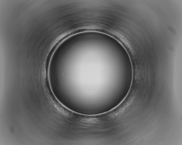 X0000113030837200908271453