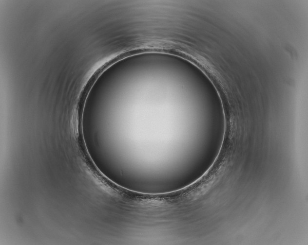 X0000113030838200908271453