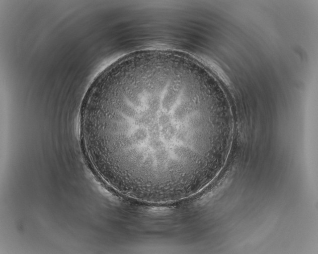 X0000113030839200908271453