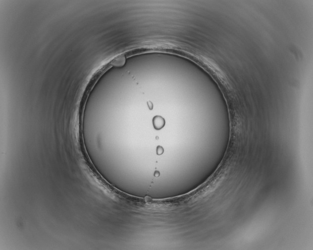 X0000113030840200908271453