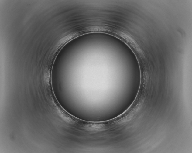 X0000113030841200908271453