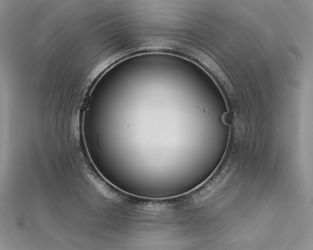 X0000113030842200908271453