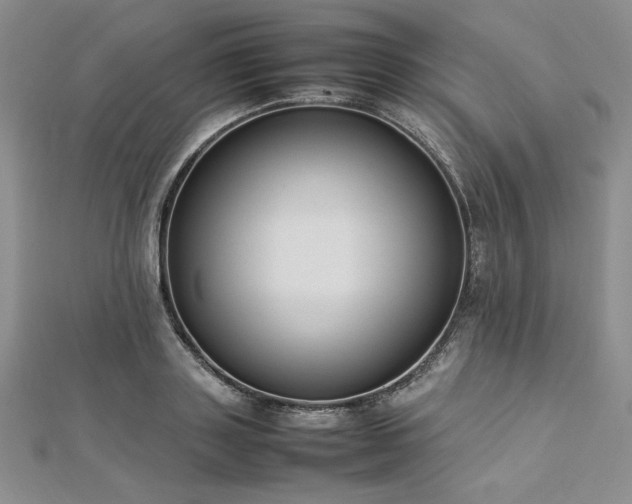 X0000113030843200908271453