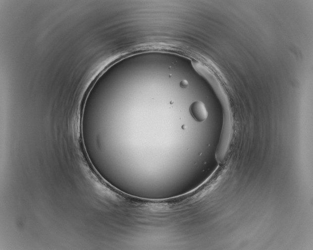 X0000113030844200908271453