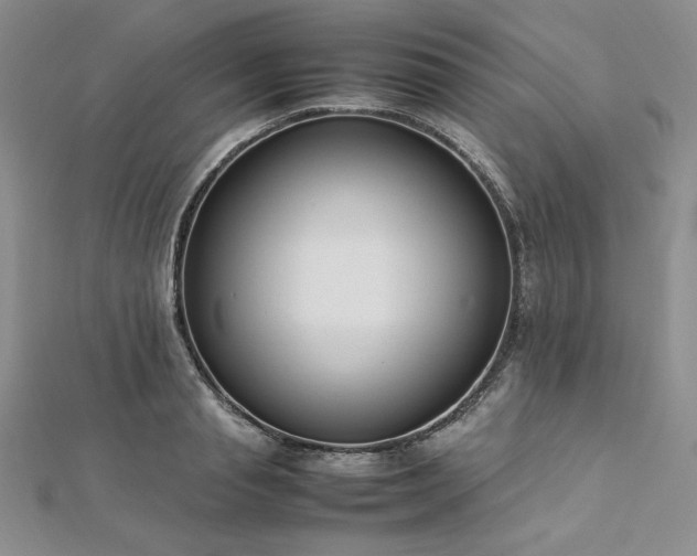 X0000113030845200908271453