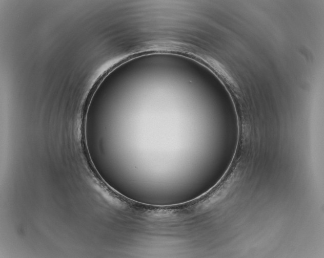 X0000113030846200908271453