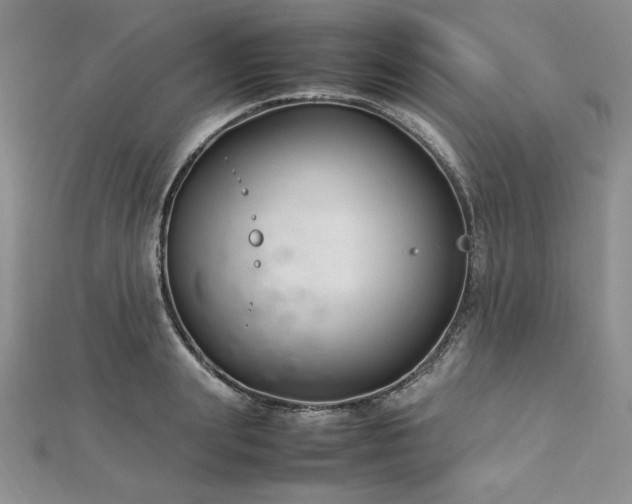 X0000113030847200908271453