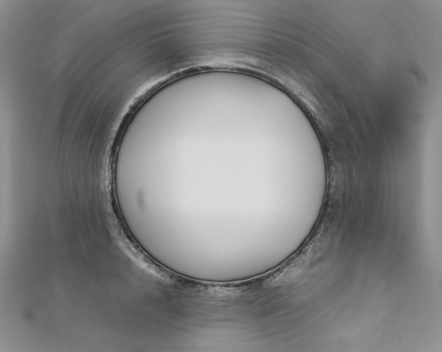 X0000113030848200908271453