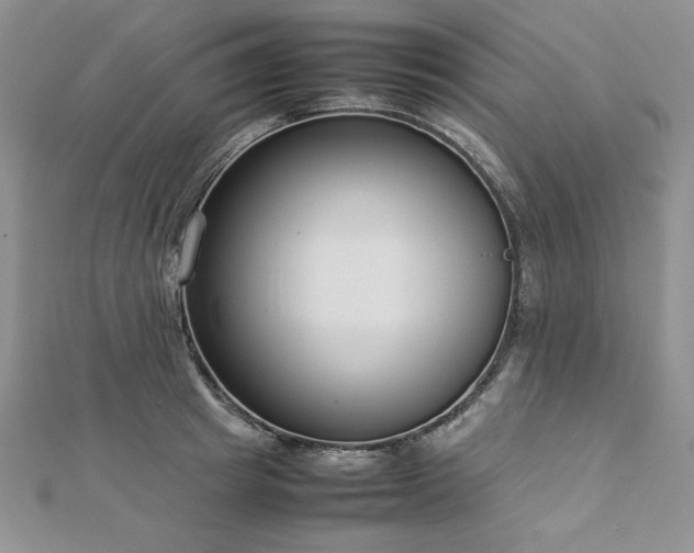 X0000113030849200908271453