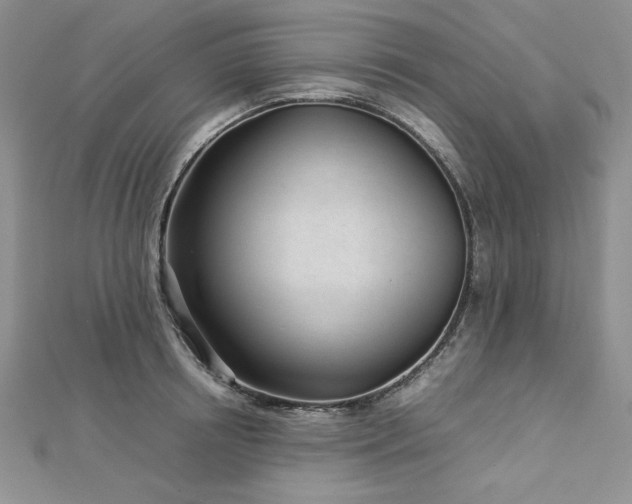 X0000113030850200908271453