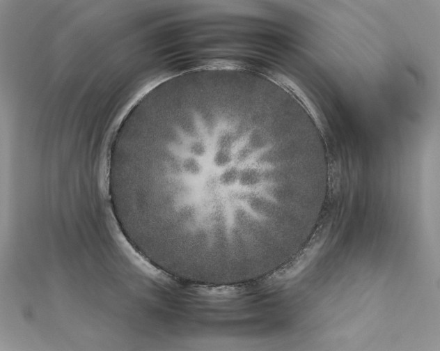 X0000113030851200908271453