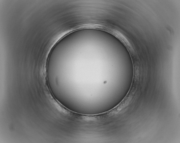 X0000113030852200908271453