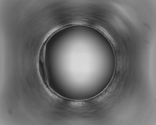 X0000113030853200908271453