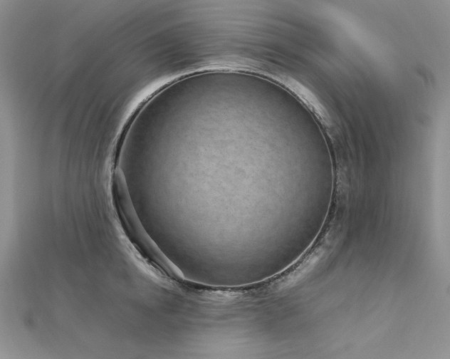 X0000113030854200908271453