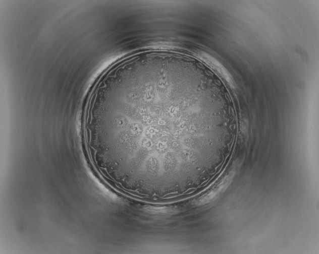 X0000113030855200908271453