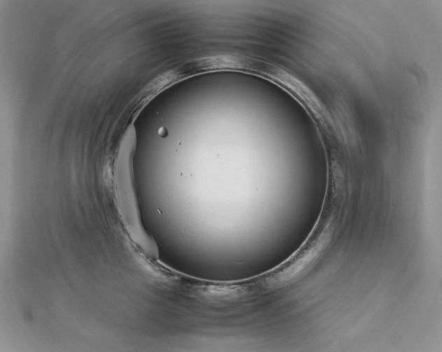 X0000113030857200908271453