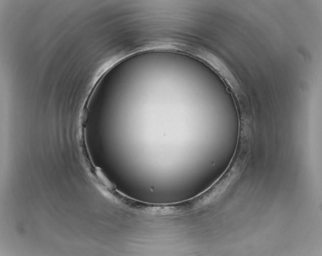 X0000113030858200908271453