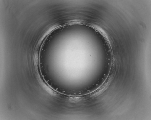 X0000113030859200908271453