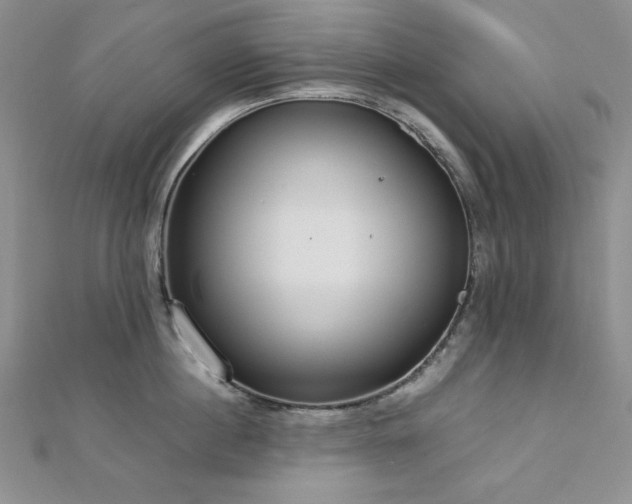 X0000113030860200908271453