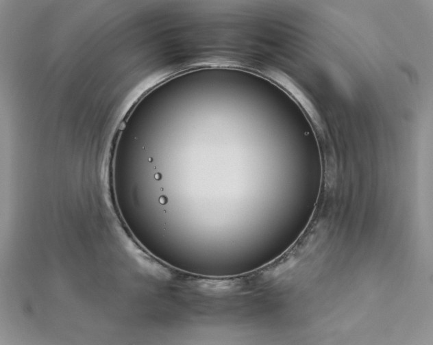 X0000113030861200908271453